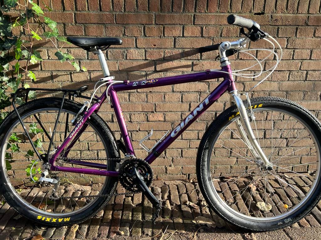 Giant Mountainbike '90 Vintage - Opgeknapt, Fietsen en Brommers, Fietsen | Mountainbikes en ATB, Gebruikt, Dames, Giant, 45 tot 49 cm