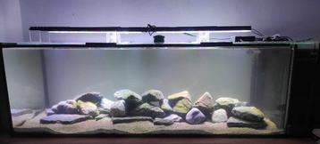 Aquarium L159xB60xH50 met alle toebehoren beschikbaar voor biedingen
