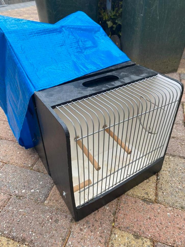 Kleine tt kooien, Dieren en Toebehoren, Vogels | Hokken en Kooien, Zo goed als nieuw, Overige typen, Hout, Ophalen