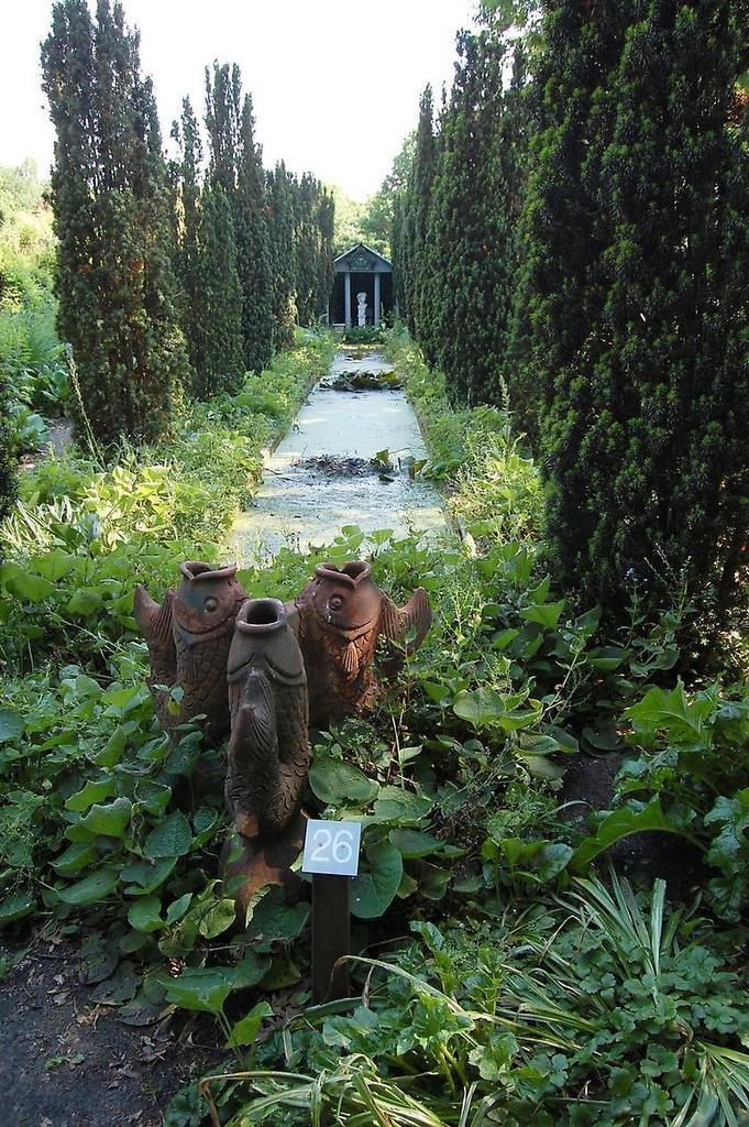 Tuinman, Diensten en Vakmensen, Tuinmannen en Stratenmakers, Tuinonderhoud of Snoeiwerk