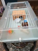 Complete  konijn / cavia kooi, Ophalen, Kooi, Hamster, Minder dan 60 cm