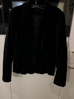 leuk velours jasje, Kleding | Dames, Carnavalskleding en Feestkleding, Ophalen of Verzenden, Zo goed als nieuw, Carnaval