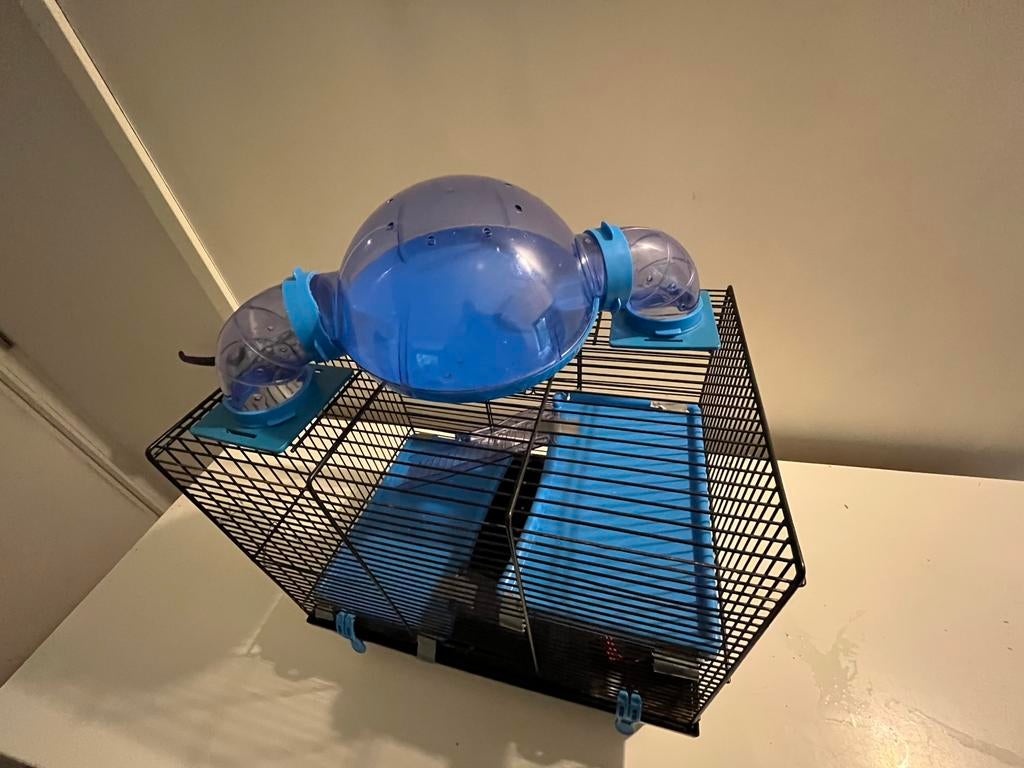 Hamsterverblijven inclusief tunnels en toebehoren, Kooi, Gebruikt, Rat, 75 tot 110 cm