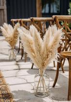 Groot beige pampas pluimen, Ophalen of Verzenden, Nieuw