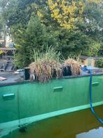 Plantenfilter, met uitloop, Tuin en Terras, Ophalen, Gebruikt, Vijverfilter