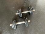 Dumbels schijven hebben rubber coating. 20 kg, Ophalen, Zo goed als nieuw