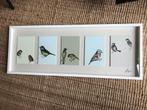 Ikea Olunda Wall of art / flutter birds / city birds, Ophalen, Minder dan 50 cm, Zo goed als nieuw, Minder dan 50 cm