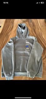 Nike sweater, Kinderen en Baby's, Kinderkleding | Maat 170, Gebruikt, Trui of Vest, Ophalen of Verzenden, Nike