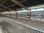 Ligboxen voor Vee, Dieren en Toebehoren, Stalling en Weidegang