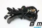 Kabelboom in achterklep Audi A3 8P SB 8P4971147S, Auto-onderdelen, Gebruikt