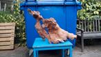 Drijfhout hout zeer decoratief, Ophalen of Verzenden