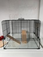Hamsterkooi glazen bodem, Dieren en Toebehoren, Knaagdieren en Konijnen | Hokken en Kooien, Kooi, Gebruikt, Minder dan 75 cm, Hamster