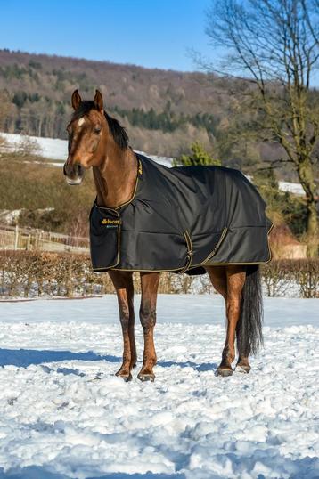 Nieuwe Bucas Irish Turnout Extra waterdichte 300g deken beschikbaar voor biedingen