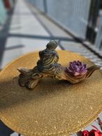 Buddha op een boomstam met lotus., Ophalen, Zo goed als nieuw