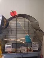 Vogel kooi, Dieren en Toebehoren, Vogels | Hokken en Kooien, Ophalen, Gebruikt, Metaal, Vogelkooi