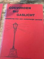 Coevorden bij Gaslicht - Bert Roest, Boeken, Geschiedenis | Stad en Regio, Ophalen of Verzenden, 20e eeuw of later, Gelezen