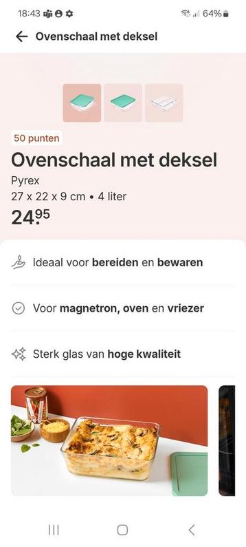 2 ovenschotels met deksel 27x22x9 cm beschikbaar voor biedingen