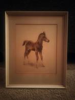 Ets veulen., Antiek en Kunst, Ophalen