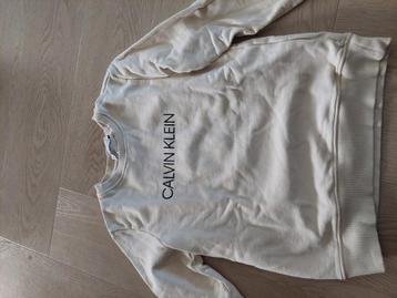 Calvin Klein trui maat 10 vergelijkbaar met 140/146 beschikbaar voor biedingen