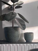 Set van 3 groene bloempotten met gouden details, Tuin en Terras, Bloempotten, Ophalen, Rond, Binnen, Zo goed als nieuw