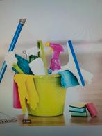 Huishoudelijke hulp gezocht, Vacatures, Vacatures | Schoonmaak en Facilitaire diensten