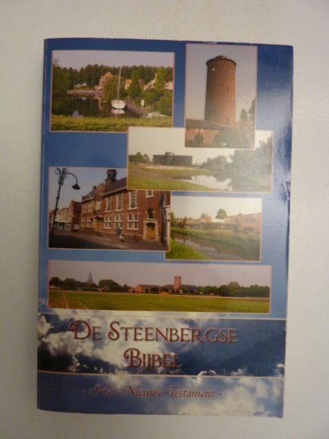 De steenbergse Bijbel - Het Nieuwe Testament, Boeken, Ophalen of Verzenden, Zo goed als nieuw