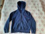 Polo Ralph Lauren hoodie, donker blauw, maat 146, Gebruikt, Trui of Vest, Ophalen of Verzenden, Polo Ralph Lauren