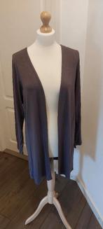 Zizzi damesvest - maat S, Zizzi, Paars, Maat 46/48 (XL) of groter, Ophalen of Verzenden