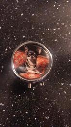 Pillendoosje chihuahua, Ophalen of Verzenden, Nieuw