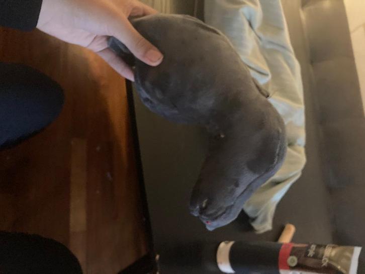 Hobbyhorse commisions aan geboden, Hobby en Vrije tijd, Overige Hobby en Vrije tijd, Zo goed als nieuw, Verzenden