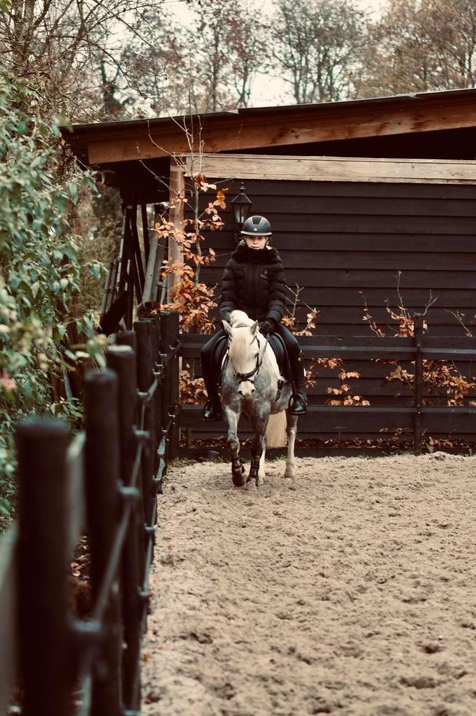 Leuke Welsh A Pony te koop!, Dieren en Toebehoren, Pony's, Merrie, Zadelmak, B pony (1.17m tot 1.27m), 3 tot 6 jaar, Ontwormd