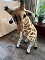 Giraf beer groot, Ophalen, Zo goed als nieuw, Wanddecoratie