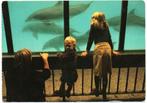 Harderwijk Zeedierenpark, Ophalen, Ongelopen, Gelderland