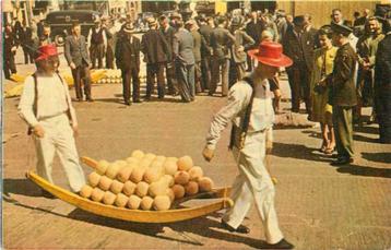 (300-393-043) Alkmaar Holland beschikbaar voor biedingen