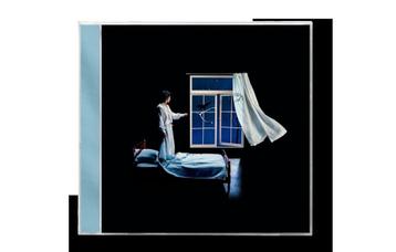 Conan Gray - Wishbone (Limited Artwork Cover + poster) beschikbaar voor biedingen