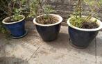 3 Bloempotten blauw geglazuurd met rozenstruiken, Gebruikt, Tuin, Rond, Minder dan 40 cm