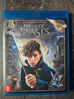 Fantastic Beasts DVD, Cd's en Dvd's, Ophalen of Verzenden