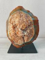 Agaat, Verzamelen, Mineralen en Fossielen, Ophalen of Verzenden