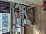Kooi tekoop, Dieren en Toebehoren, Ophalen, Zo goed als nieuw, 75 tot 110 cm, Kooi