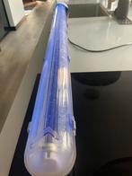 1 blacklight tl lamp, Ophalen of Verzenden, Licht
