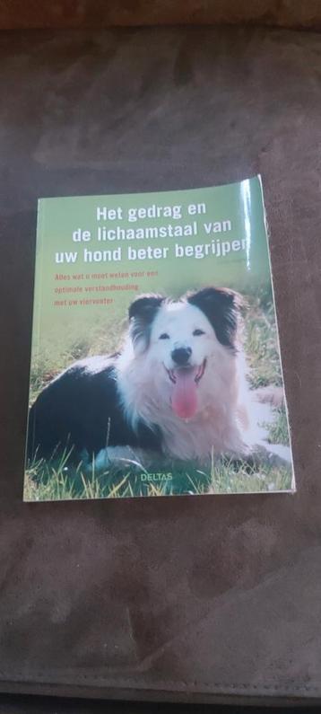 Het gedrag en de lichaamstaal van uw hond beter begrijpen