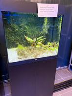 Mooi 2e hands juwel lido 120 aquarium, Ophalen, Zo goed als nieuw, Leeg aquarium