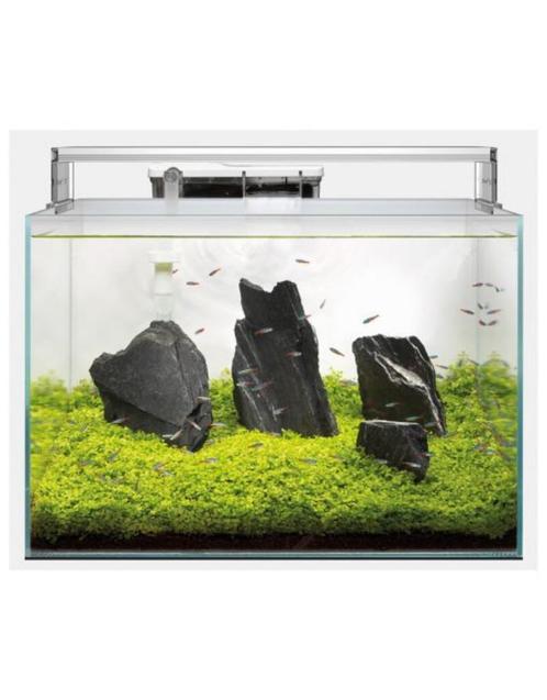 Diverse Superfish aquariums met extra korting!!!, Dieren en Toebehoren, Vissen | Aquaria en Toebehoren, Nieuw, Leeg aquarium, Ophalen