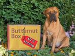 60% korting op je 1e ButternutBox, Ophalen of Verzenden, Hond