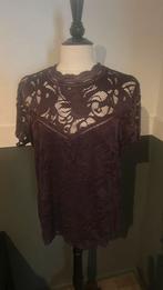 Vila noos kant xxl noeuw paars plum top shirt blouse, Kleding | Dames, Tops, Ophalen of Verzenden, Zo goed als nieuw, Maat 46/48 (XL) of groter