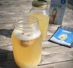 Waterkefir je darm wordt er blij van gratis potje mosterd, Sport en Fitness, Gezondheidsproducten en Wellness, Nieuw, Poeder of Drank