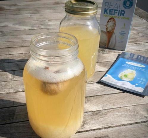 Waterkefir je darm wordt er blij van gratis potje mosterd, Sport en Fitness, Gezondheidsproducten en Wellness, Nieuw, Poeder of Drank