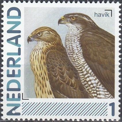 Nederland- 2011-Persoonlijke- Natuur- Vogels- Havik- P, Verzenden, Na 1940, Postfris