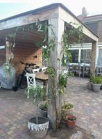 Overkapping zelf afbreken!, Tuin en Terras, Overkappingen, Ophalen, Gebruikt