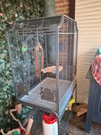 Montana kooi voor halsband band parkiet antraciet van kleur, Mannelijk, Parkiet